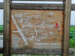-池杉湖湿地公园