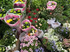 -循礼门鲜花花市(武汉循礼门店)