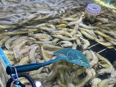 -聚盛源蒸汽海鲜火锅烤肉自助(巨川金海岸购物广场店)