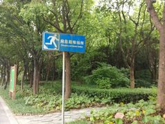 -新江湾城公园