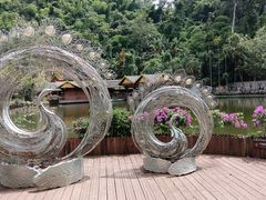 -西双版纳原始森林公园