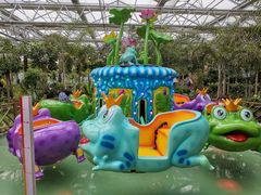 -南宫五洲植物乐园