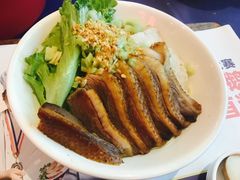 金奖卤鹅肉饭-陈鹏鹏潮汕菜(宝安机场T3航站楼店)