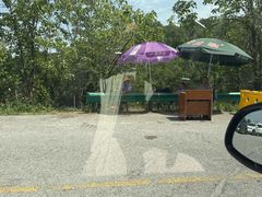 -素山寺森林公园