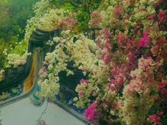 -深圳国际园林花卉博览园