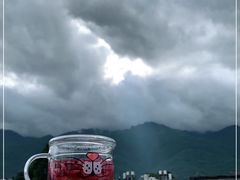 -喵屿·大理花园猫咖