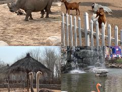 -北京野生动物园