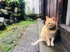 -小雅青年旅舍(平江路店)