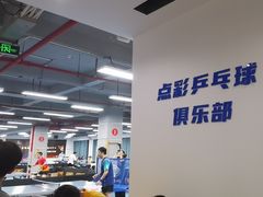 -点彩乒乓球俱乐部