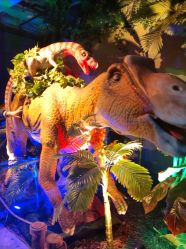 -恐龙探索乐园(磁器口店)