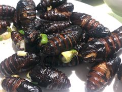 -华龙特色大骨鸡农家菜馆