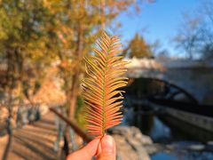 -白水寺森林公园