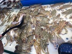 -川骄海鲜自助(河东店)