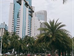 -万绿园