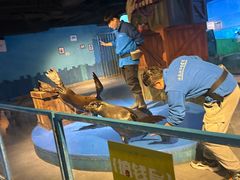 -常州海昌海洋探索馆