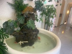 -卡尔诗·科技美肤连锁