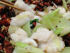 炝龙利鱼小锅-万和源炝锅城·活鱼现炝(文艺北路店)