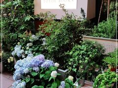 -二酉书店TOYOU BOOKS