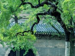 -灵谷景区