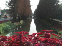 -万顷园艺世界
