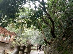 -天门沟九州驿站树上汤泉