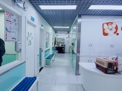 -达爱动物医院·犬猫分区·CT·复杂眼科(远洋山水分院)
