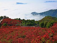 -瑞安圣井山景区