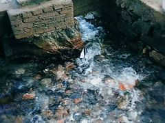 -铁道游击队纪念馆