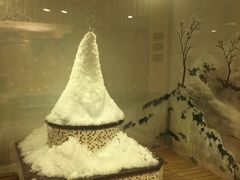 -汤里来温泉