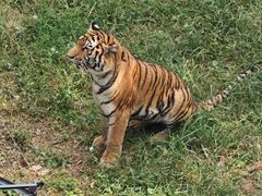 -石家庄市动物园