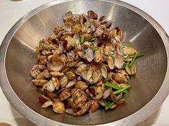 红岛蛤蜊-金春禧·鲁菜海鲜(延吉路万达店)