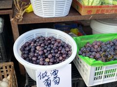 -红星农博物流中心