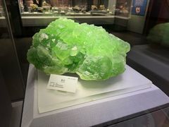 -湖南省地质博物馆