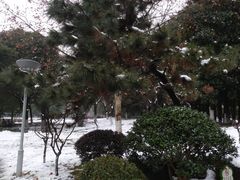 -玉山公园