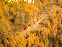 -莫尔道嘎国家森林公园