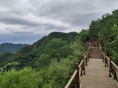 -大岭沟猕猴桃谷风景区