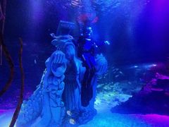 -沈阳海洋探索中心