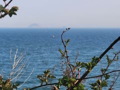 -小麦岛公园