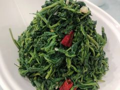 养生枸杞苗-老毛手抓·盐池滩羊非遗手抓(宁夏总店)