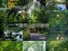 -西溪国家湿地公园