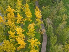 -汉长安城未央宫国家考古遗址公园