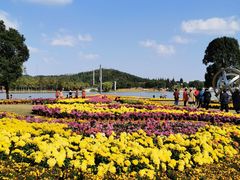 -上海月湖雕塑公园