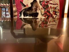 -江湖边·小生活