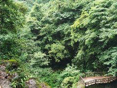 -碧峰峡风景区