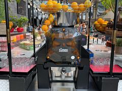 -新加坡瑞士史丹福酒店