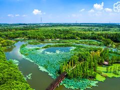 -同里国家湿地公园