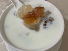 鲜奶桃胶-老周记顺德双皮奶