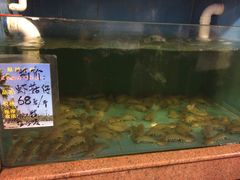 -国家五钻酒家·西樵旺阁渔村(西樵店)