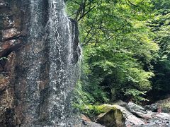 -西岭雪山大飞水景区
