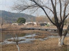 -长广溪湿地公园